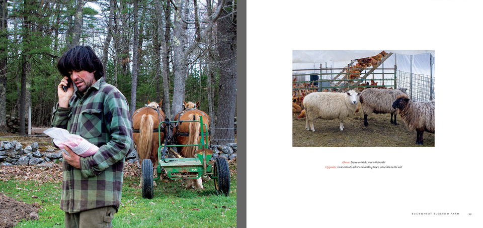 Book Sample: Pages of Chapter Buckwheat Blossom Farm